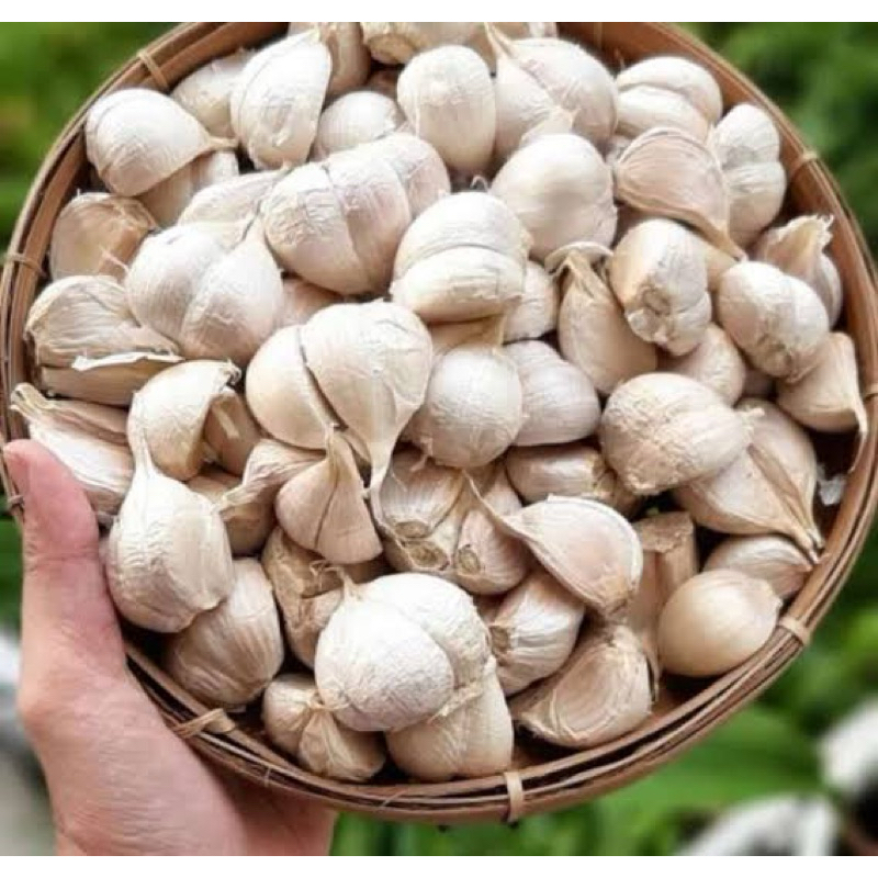 

Bawang Putih Kating 250gr Fresh & Premium(Instant/Sameday)