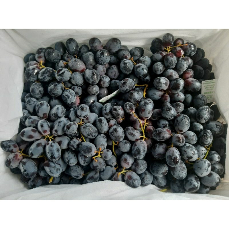

Buah Anggur Hitam Autumn Royal (250gr)