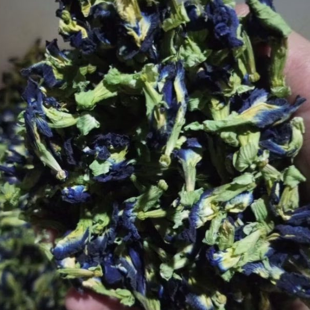 

Bunga Telang Kering 25 Gram Telang Ungu Butterfly pea 25 gram