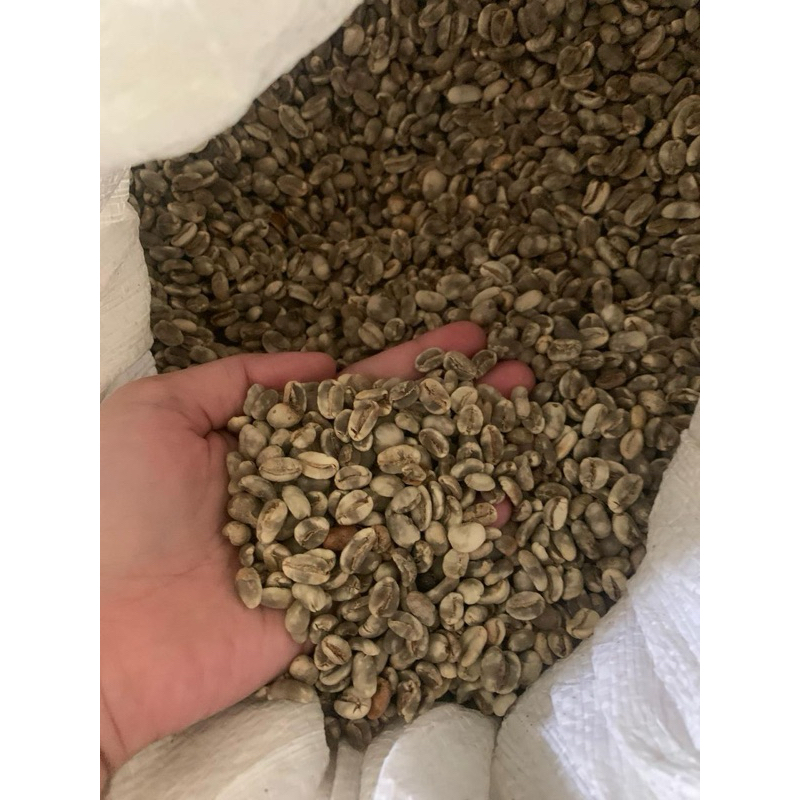

Greenbeans kopi tua Arabika Gayo grade 1 (Semi Wash)
