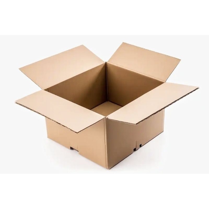 

Packing Dus tambahan