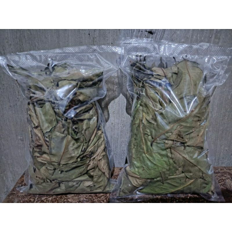 

Daun Salam Kering