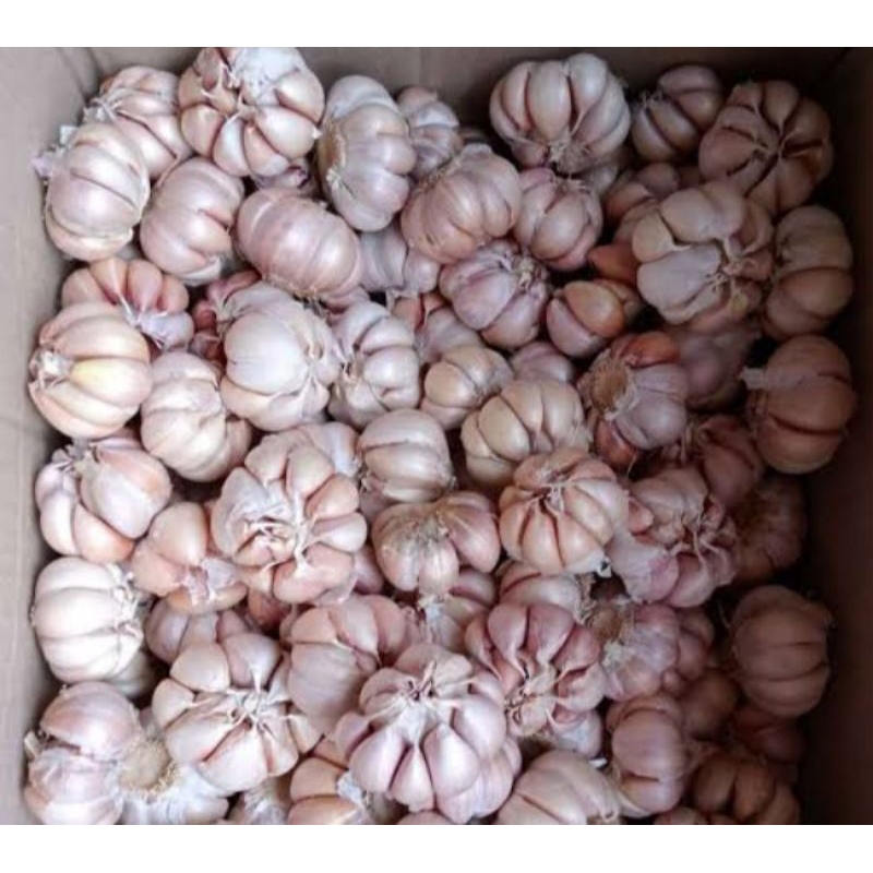 

Bawang putih 200 gram