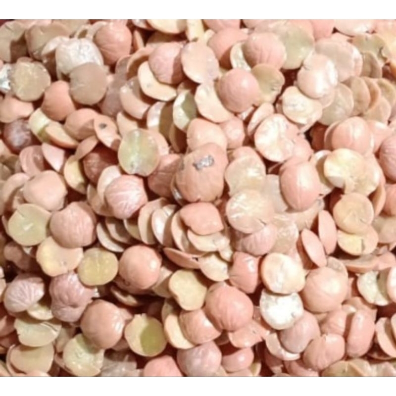 

Jengkol Rebus