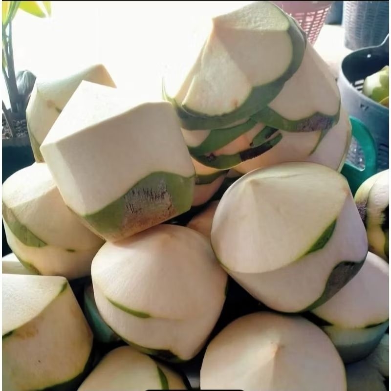 

Kelapa Muda Seger Utuh Perbutir Papas atas.