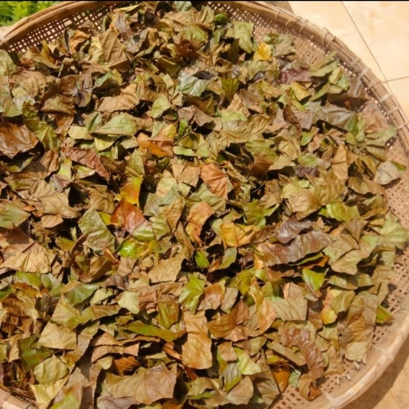 

100Gram Daun Kopi Kering Herbal Alami