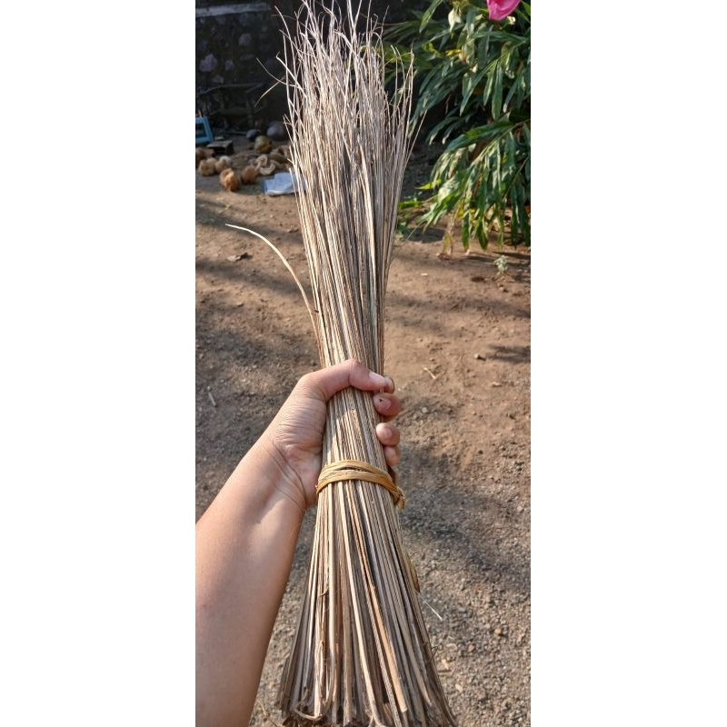 Sapu lidi tanpa gagang - sapu taman