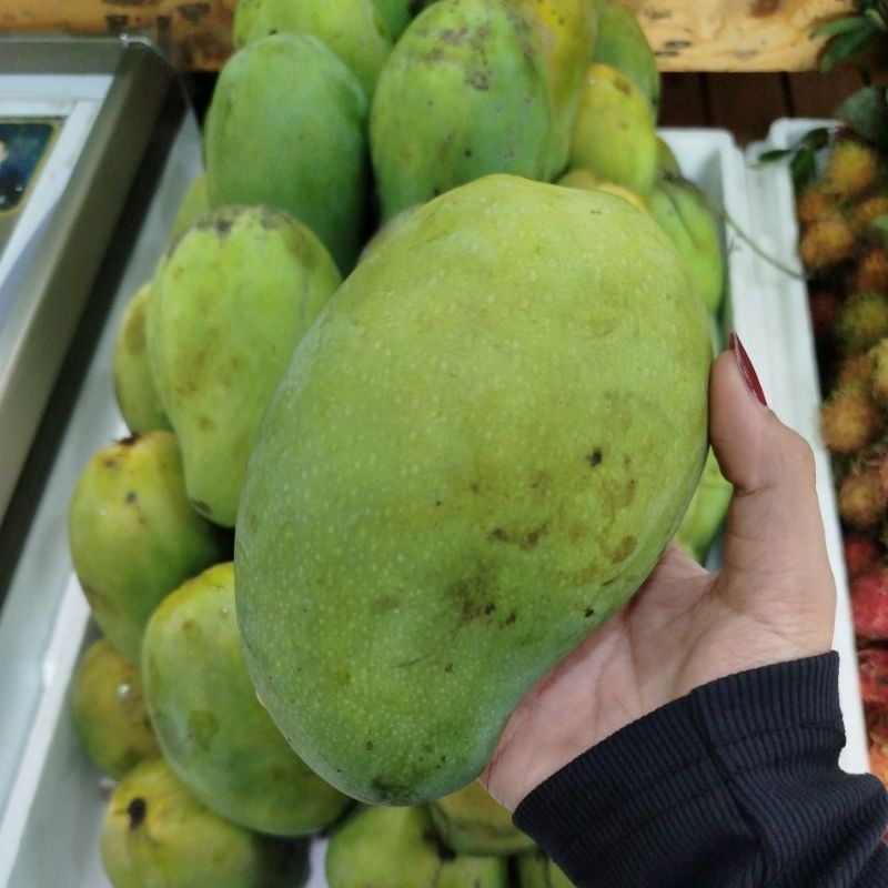 

Mangga Harumanis peti ukuran besar