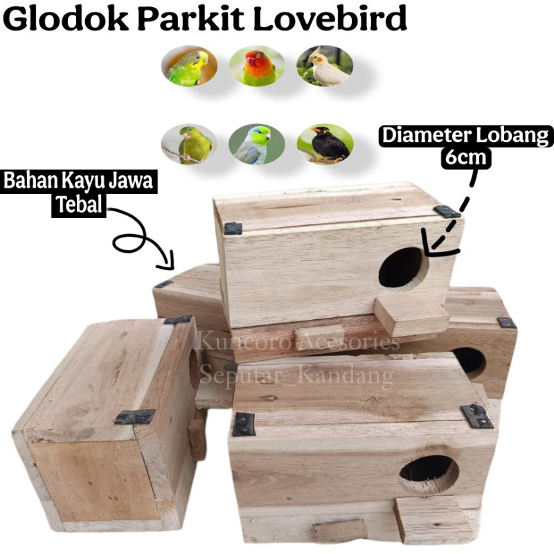 Glodok Kotak Parkit Lovebird Tebal & Keras