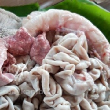 

Jeroan kambing muda 1 kg dijamin fresh segar