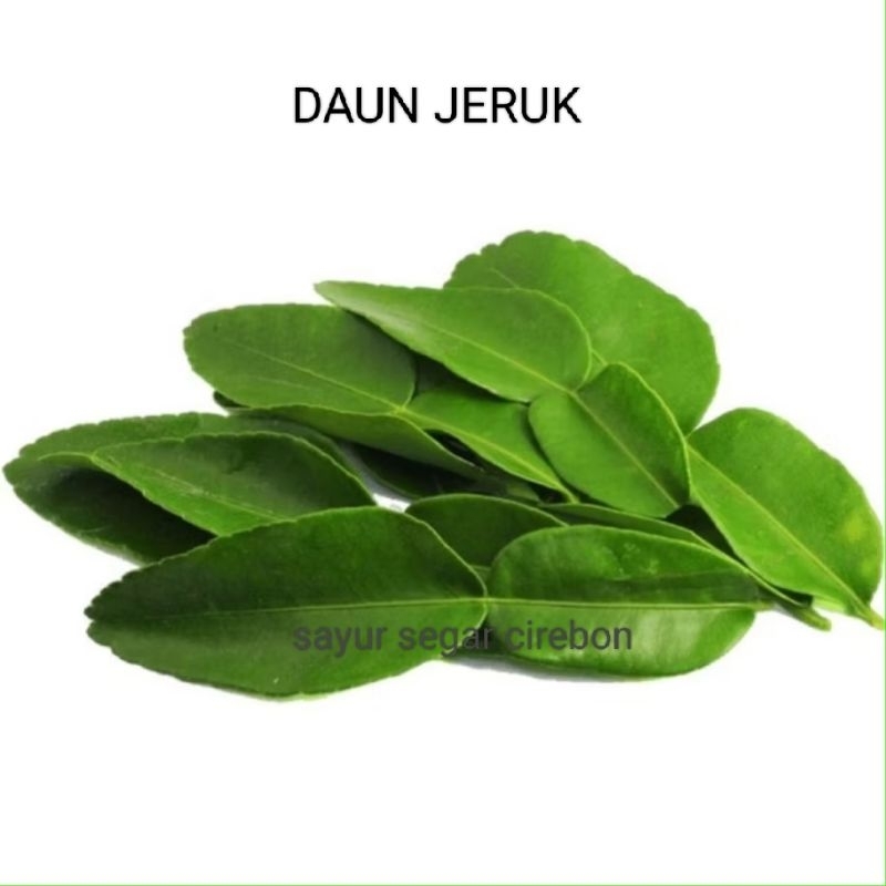 

DAUN JERUK 100GRAM