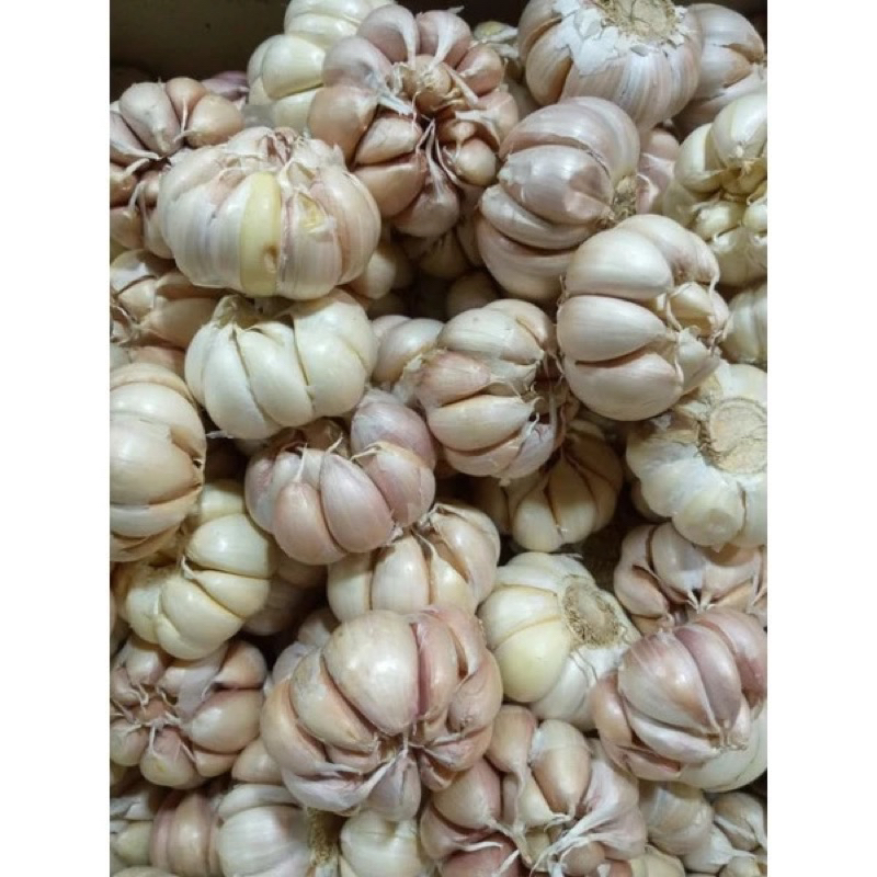 

BAWANG PUTIH 1kg