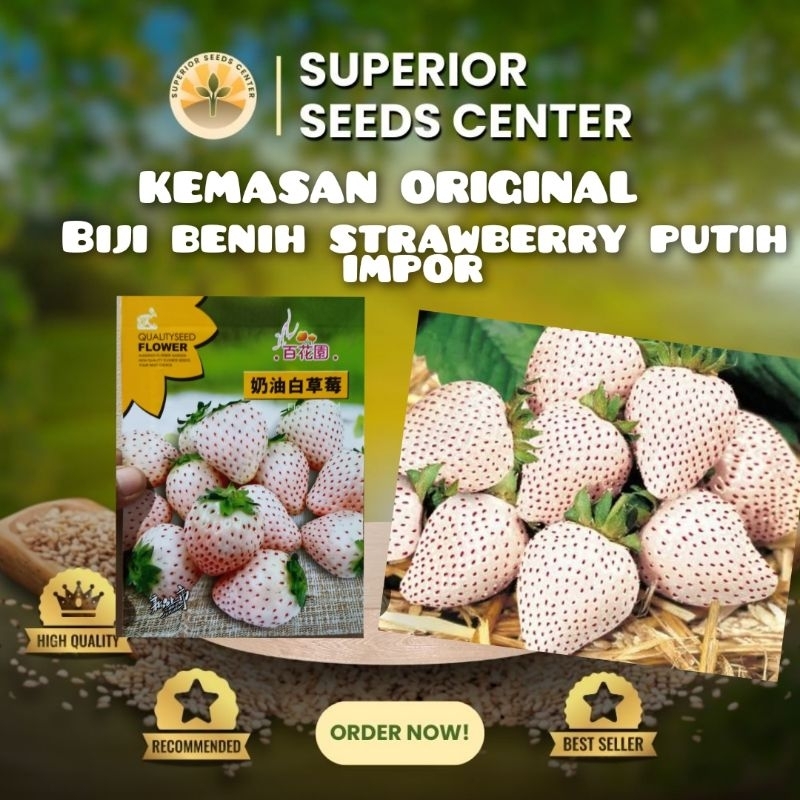 KEMASAN ORIGINAL BIJI BENIH BUAH STRAWBERRY PUTIH KOREA