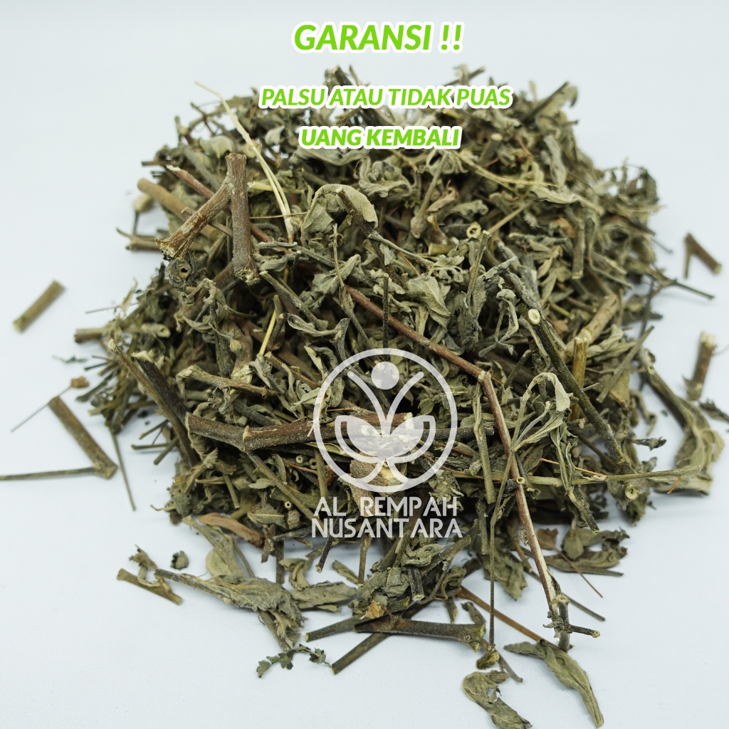 

Daun Sidaguri Kering 500gr Seleguri Bersih dan Organik