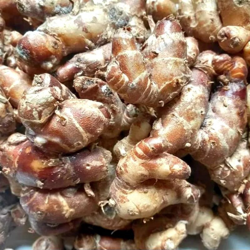 

kencur segar 1 kg, 500 gram ,250 gram