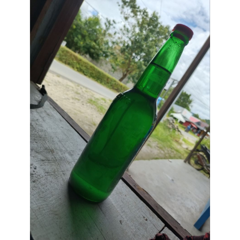 MINYAK KAYU PUTIH ASLI PULAU BURU