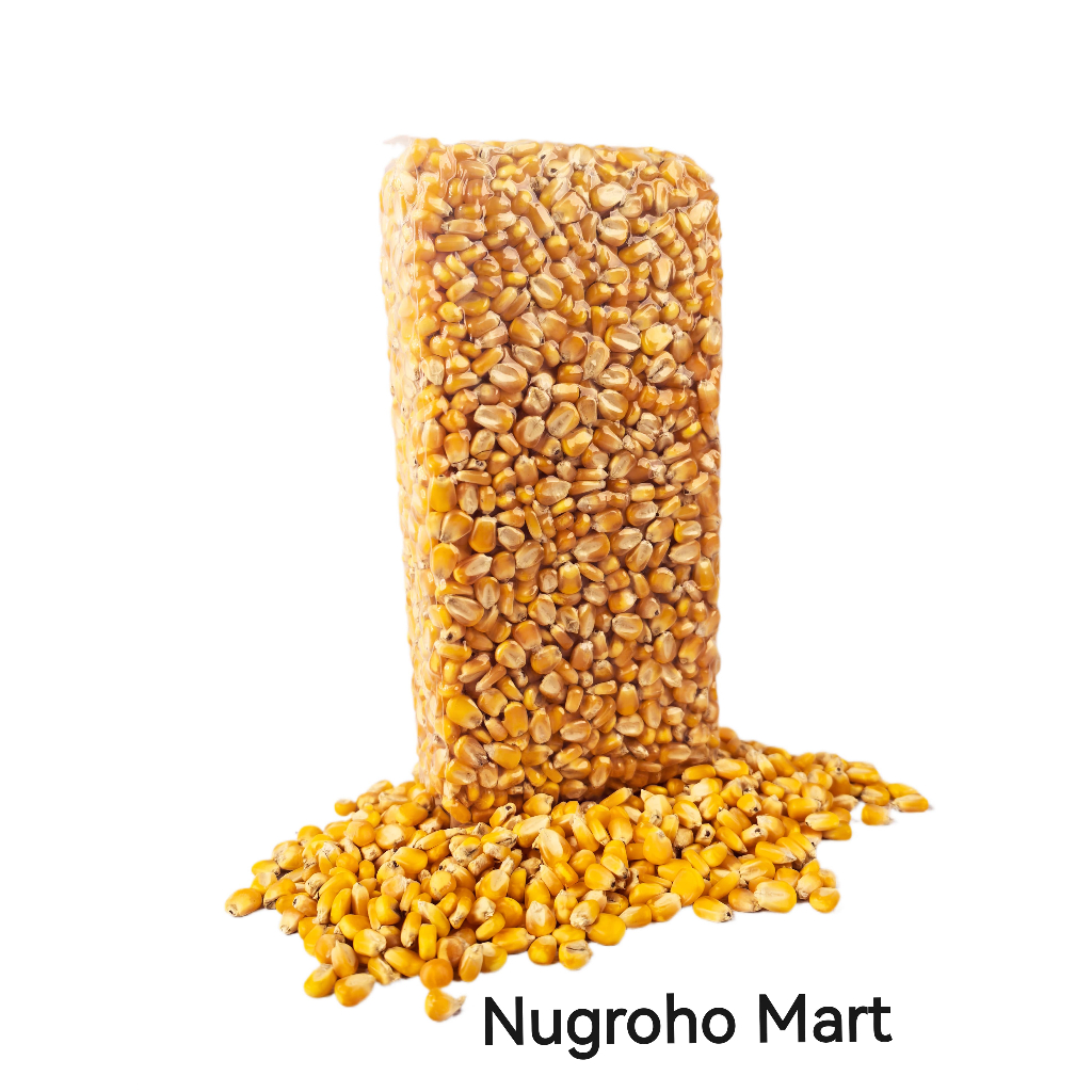 

Jagung Pipil Kering Fresh 1 Kg Hot Produk