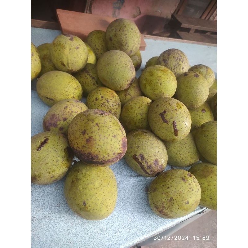 

buah bacang fresh 1 kg / mangga bacang fresh 1 kg