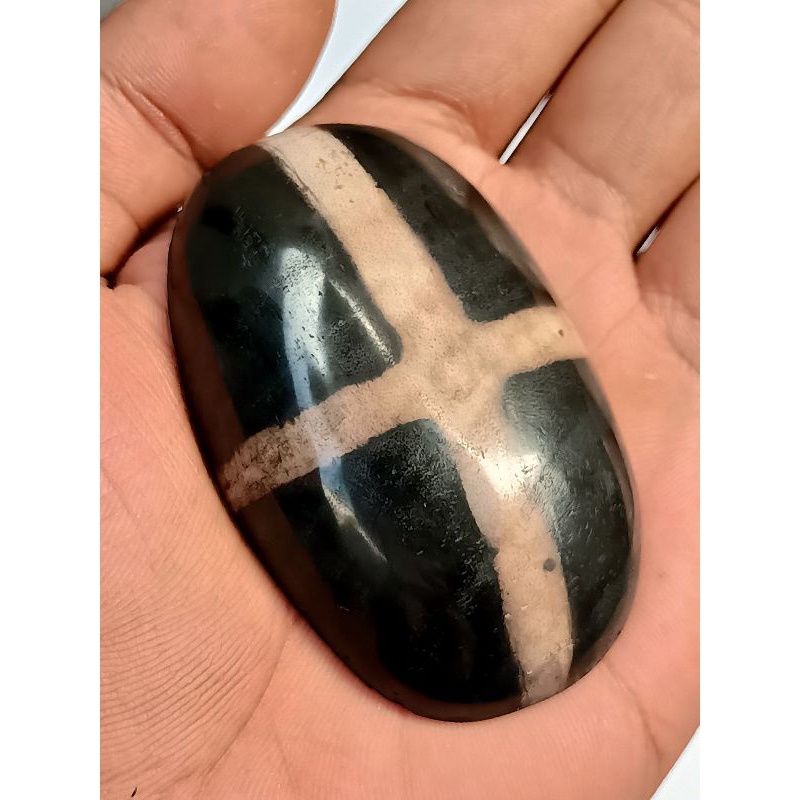 Batu Posil Galih Kelor Motip Tapak Jalak , Big Size