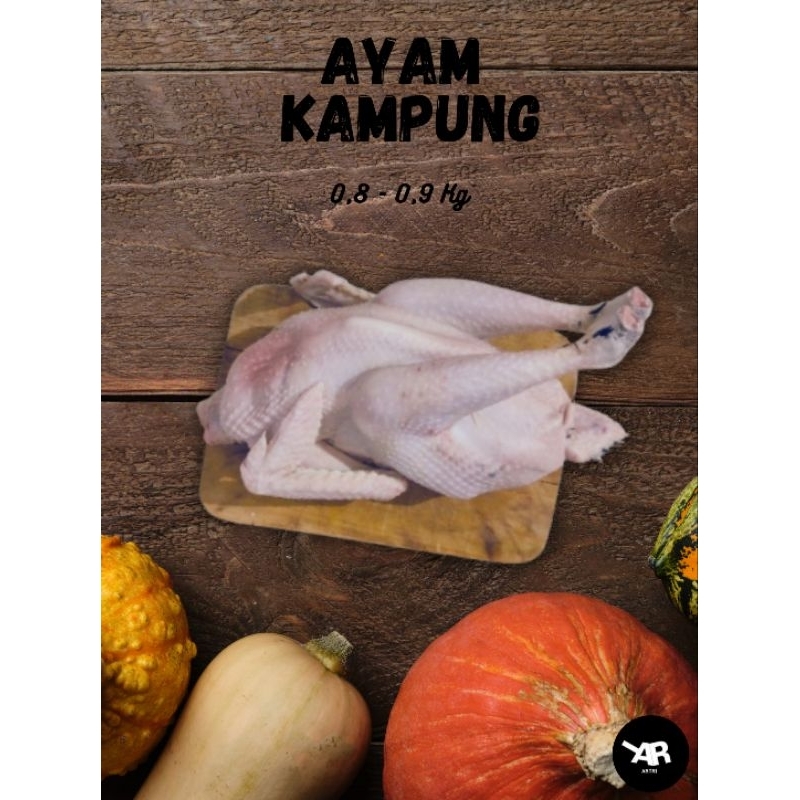 

Ayam Kampung Potong Segar Utuh Berat 0,8 - 0,9 Kg (Tanpa Jeroan)