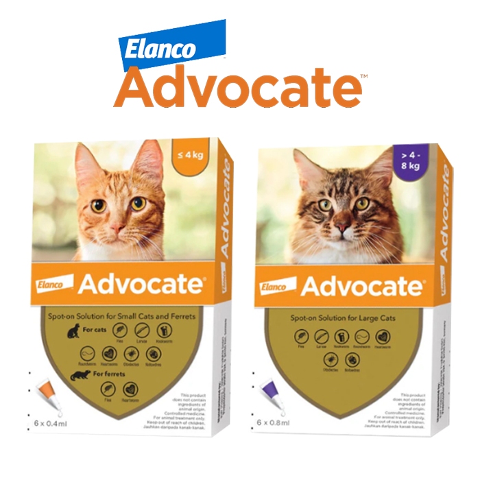 ADVOCATE Cat Elanco Obat Kutu Kucing Advocate