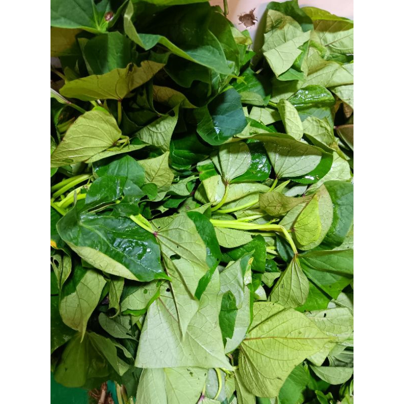 

daun ubi segar 500gr
