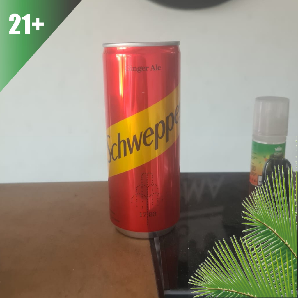 

Schweppes Ginger Ale Can 250ml