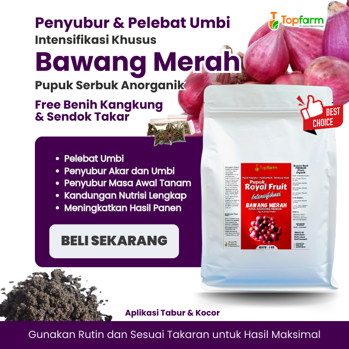 Pupuk Bawang Merah Pembesar / Pupuk Bawang Merah Yang Bagus / Pupuk Pelebat Umbi Bawang Merah