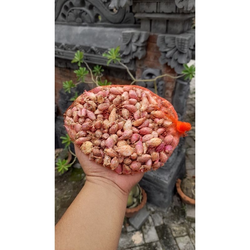 

Bawang merah lembut/sayur asli nganjuk