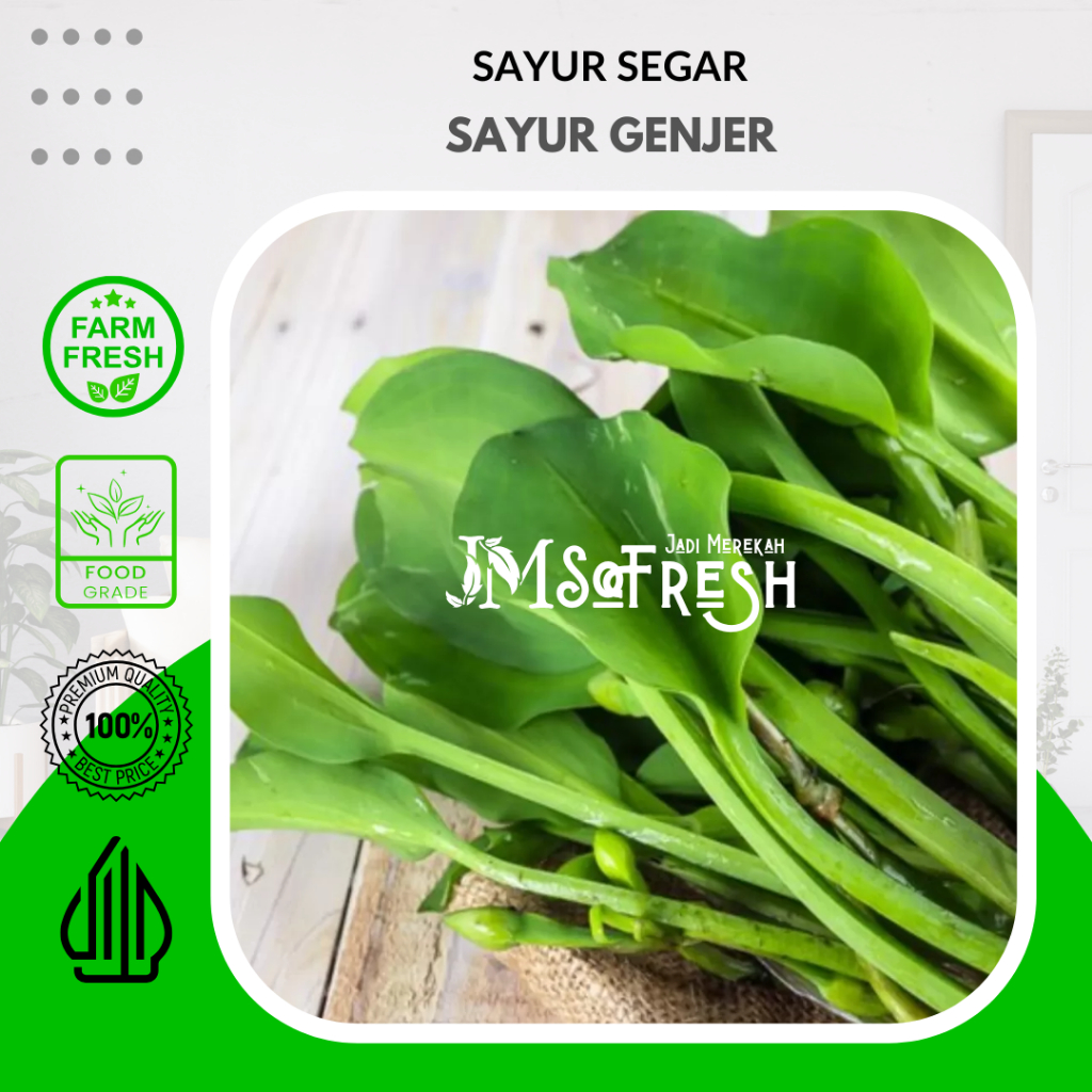 

[JM_SoFresh] Sayur Genjer Segar 250 Gram