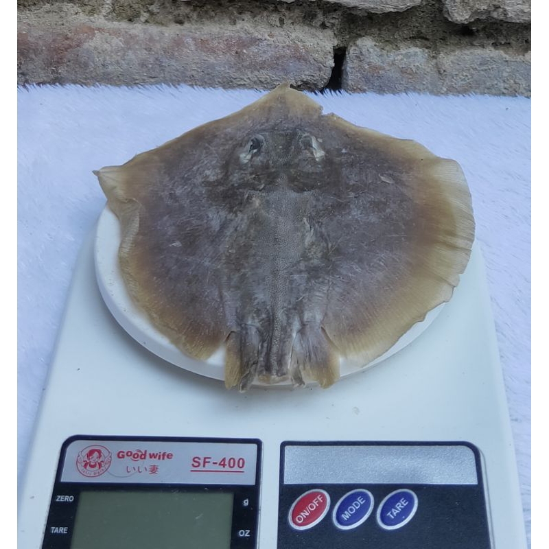 

PROMO IKAN ASIN PARI / PEH KEMASAN 1KG BERSIH