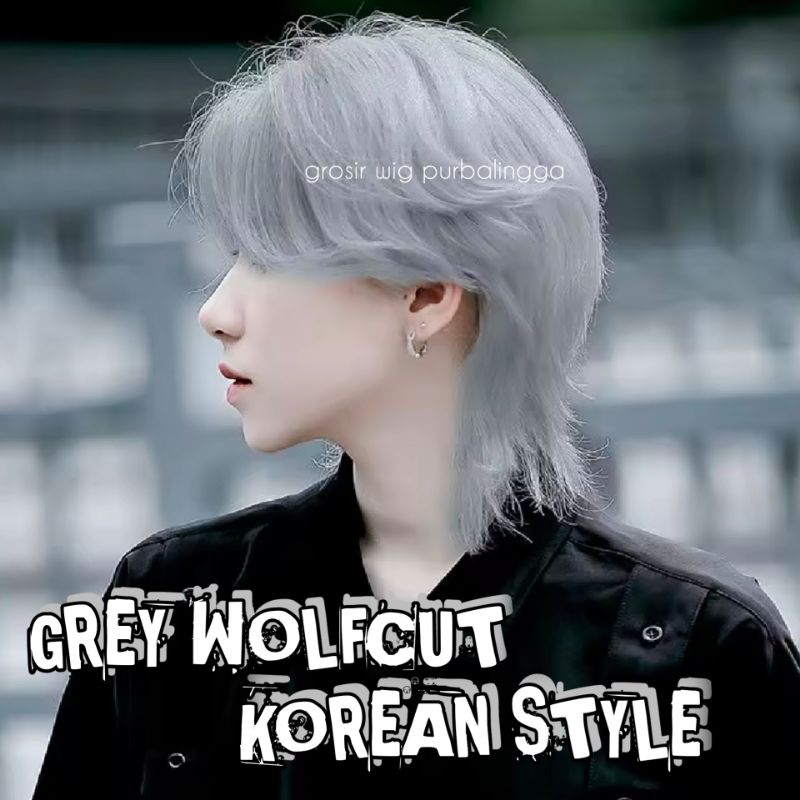 Grosir Wig Pria Korea Rambut Panjang Model Wolfcut Warna Abu-abu Merah Biru Putih Coklat Hitam Kode 