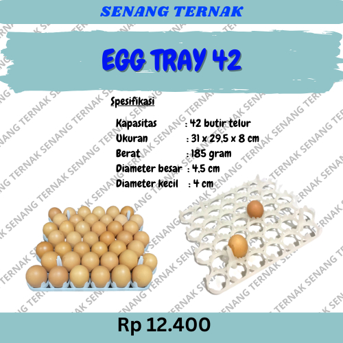 EGG TRAY 42 KECIL / BESAR - TEMPAT PENYIMPANAN TELUR AYAM BERKUALITAS