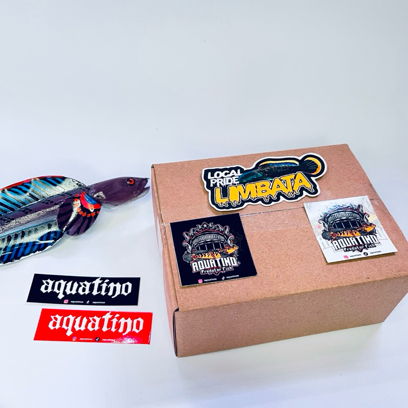 STICKER CHANNA LIMBATA CB 5-6CM FREE PELET