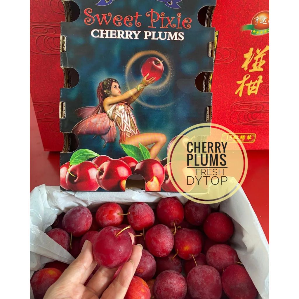 

Buah Cherry Plums Enak Manis - 2 Kg