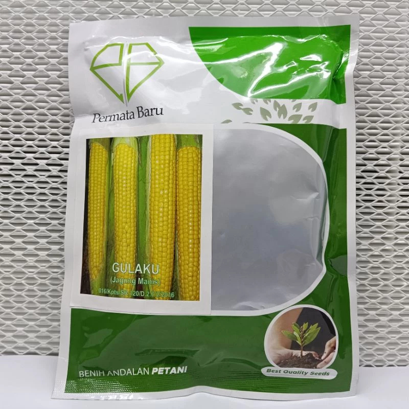 

grosir Benih Jagung Manis Gulaku 50 gr | bibit jagung manis toko murce medan amplas