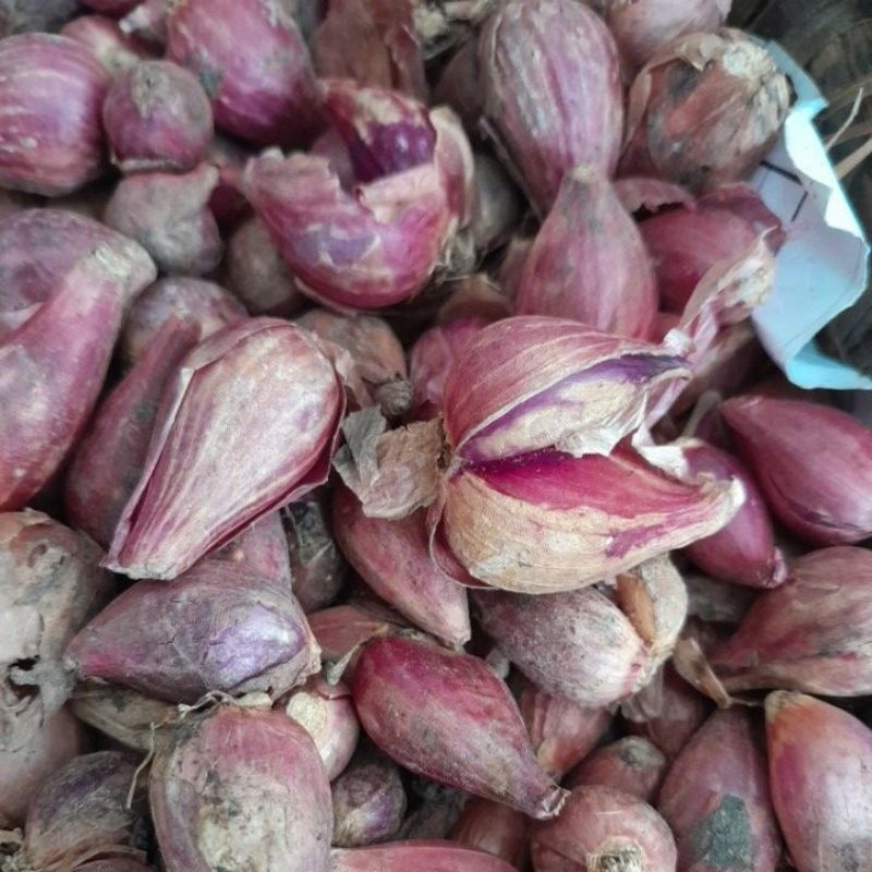 

Bawang merah jawa super 250 gram