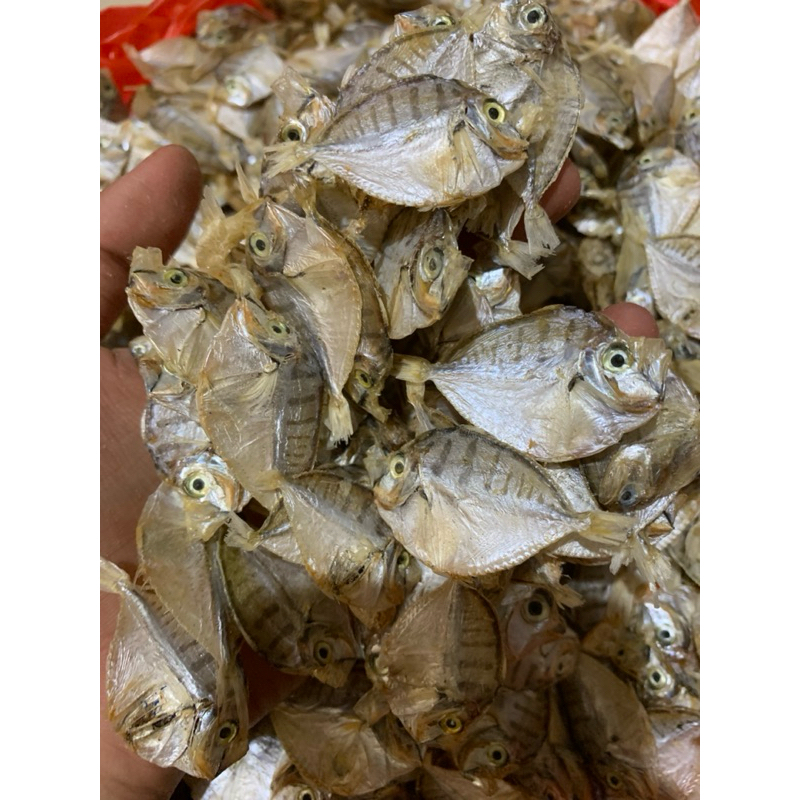 

Ikan Pirek/Dodok (kecil)