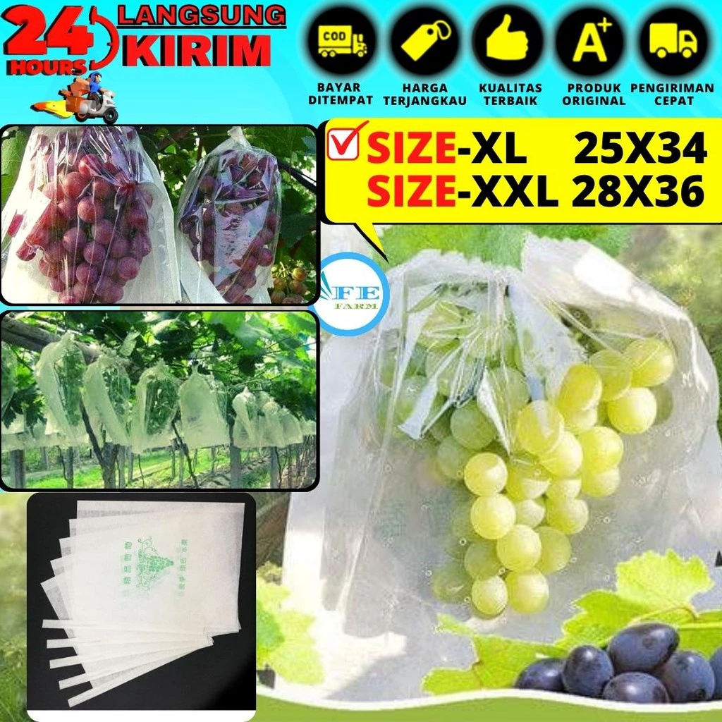 Fruit Cover Brongsong Buah Anggur, Klengkeng, Strawberry Dll, Pembungkus Buah