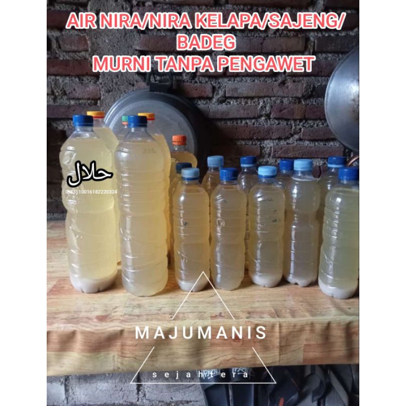 

AIR NIRA KELAPA /LEGEN / BADEG /SAJENG MURNI TANPA PENGAWET SUDAH DI MASAK