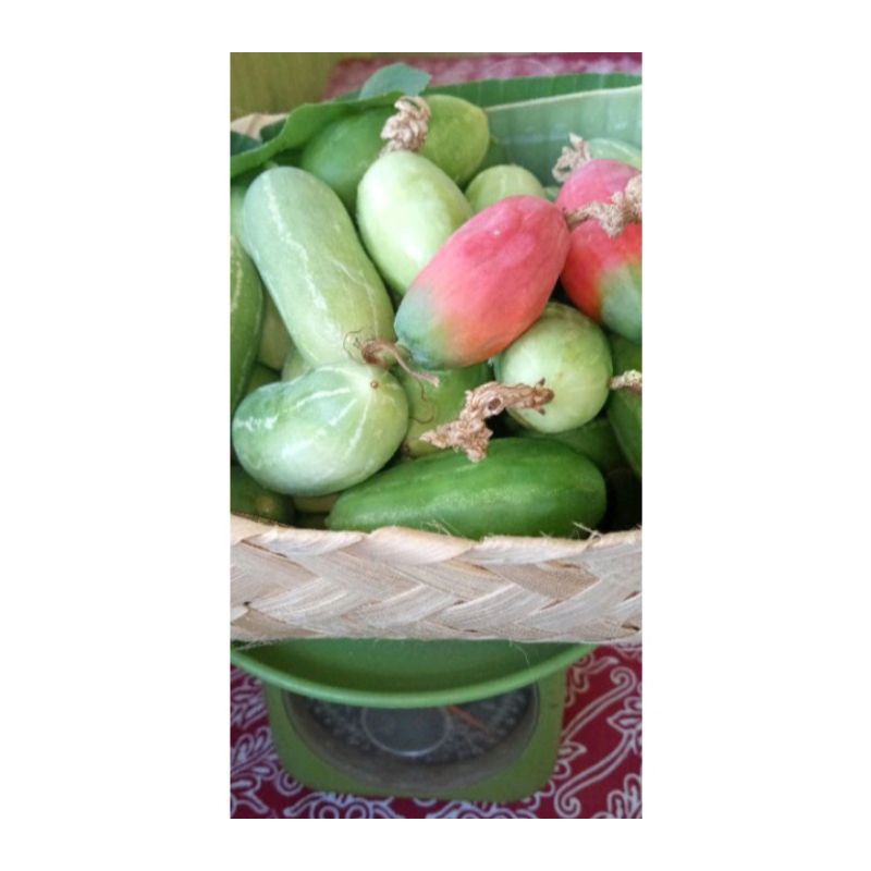 

Satu kilo gram buah segar timun Padang