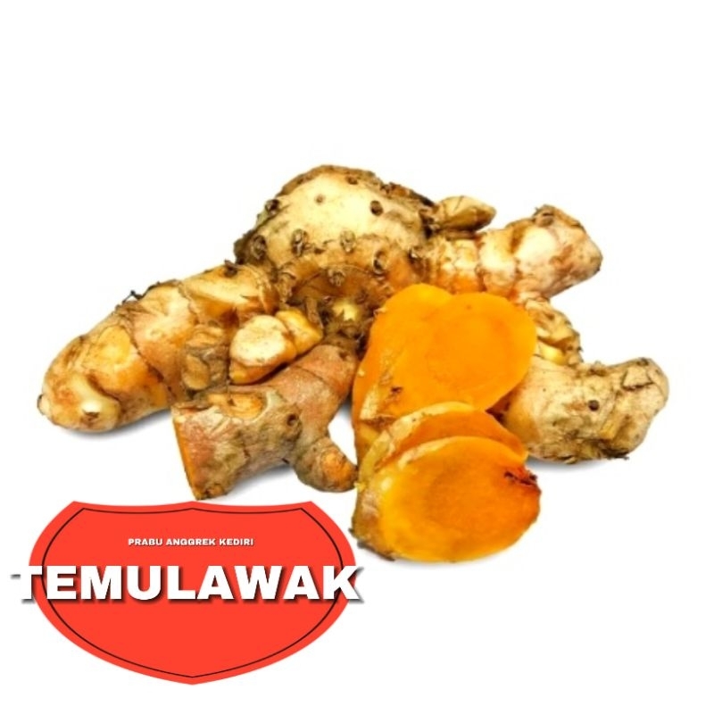 

TEMULAWAK FRESH 1KG SUPER