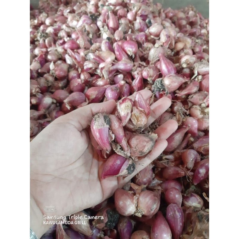 

BAWANG MERAH SUPER BAWANG MERAH KEDIRI BAWANG MERAH JAWA 1/4KG