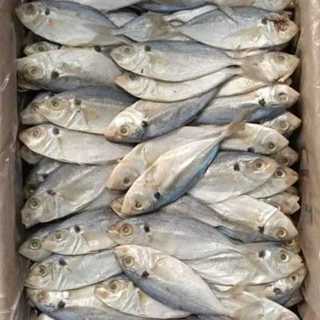 

Grosir ikan asin dian- ikan asin selar