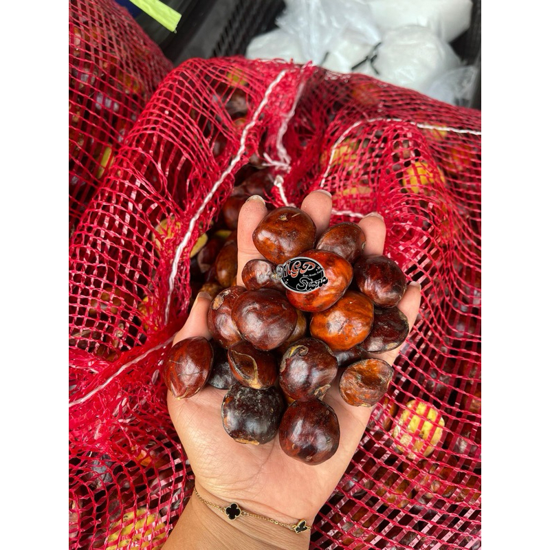 

Jengkol Tua Super 1Kg Jatim