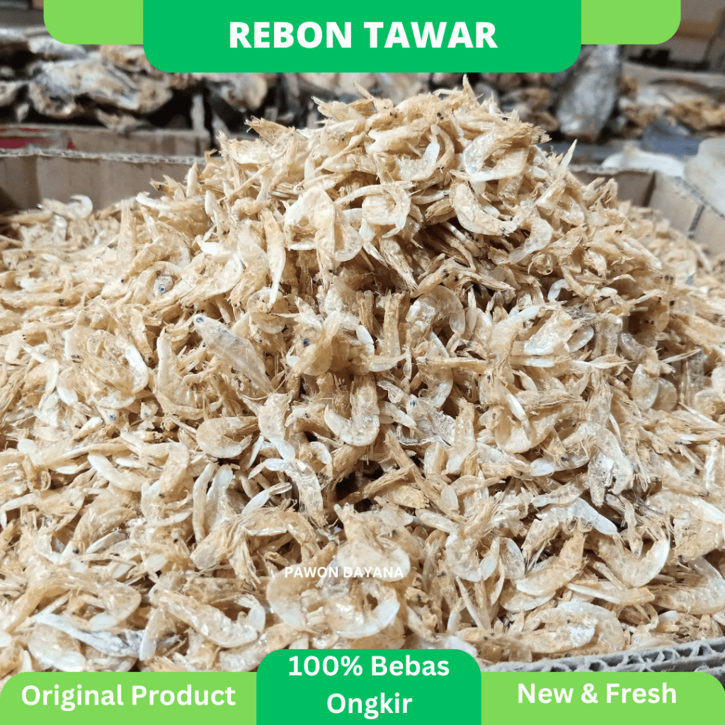 

Rebon Tawar / Udang Rebon Tawar Super
