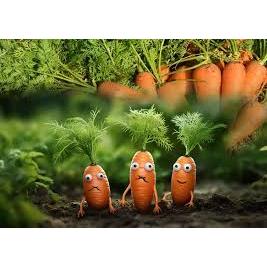 

WORTEL BRASTAGI FRESH 1 KG (1000 GRAM) FRESHFARM88