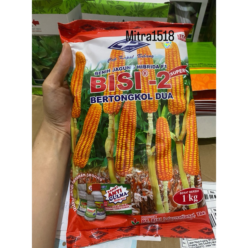 Benih jagung BISI 2 1 kg biji jagung hibrida dari bisi kapal terbang BISI 2