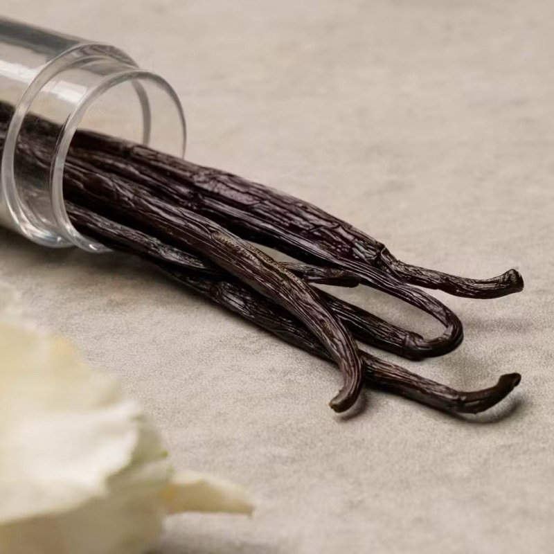 

Vanilla Beans Grade A+ Ekspor - Vanilli Kering