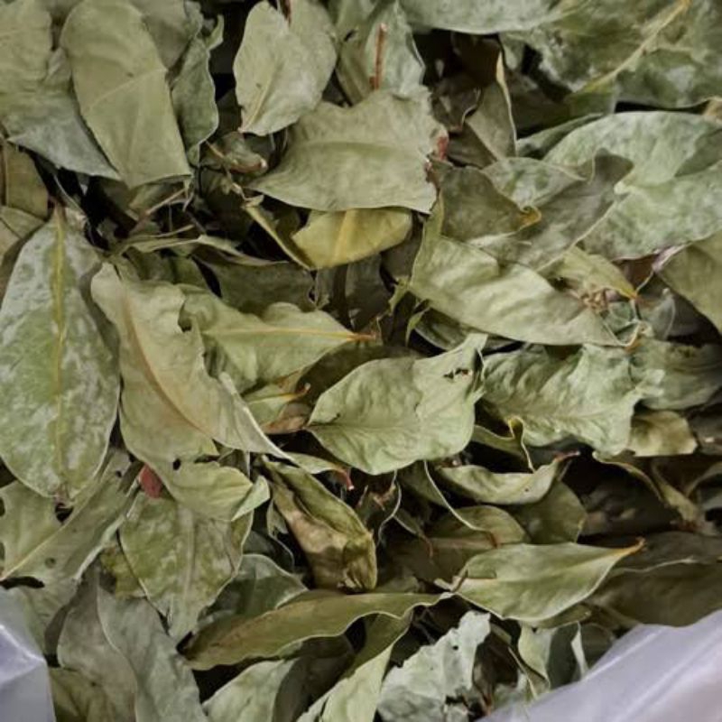 

Daun Salam Kering Kemasan isi 250 Gram